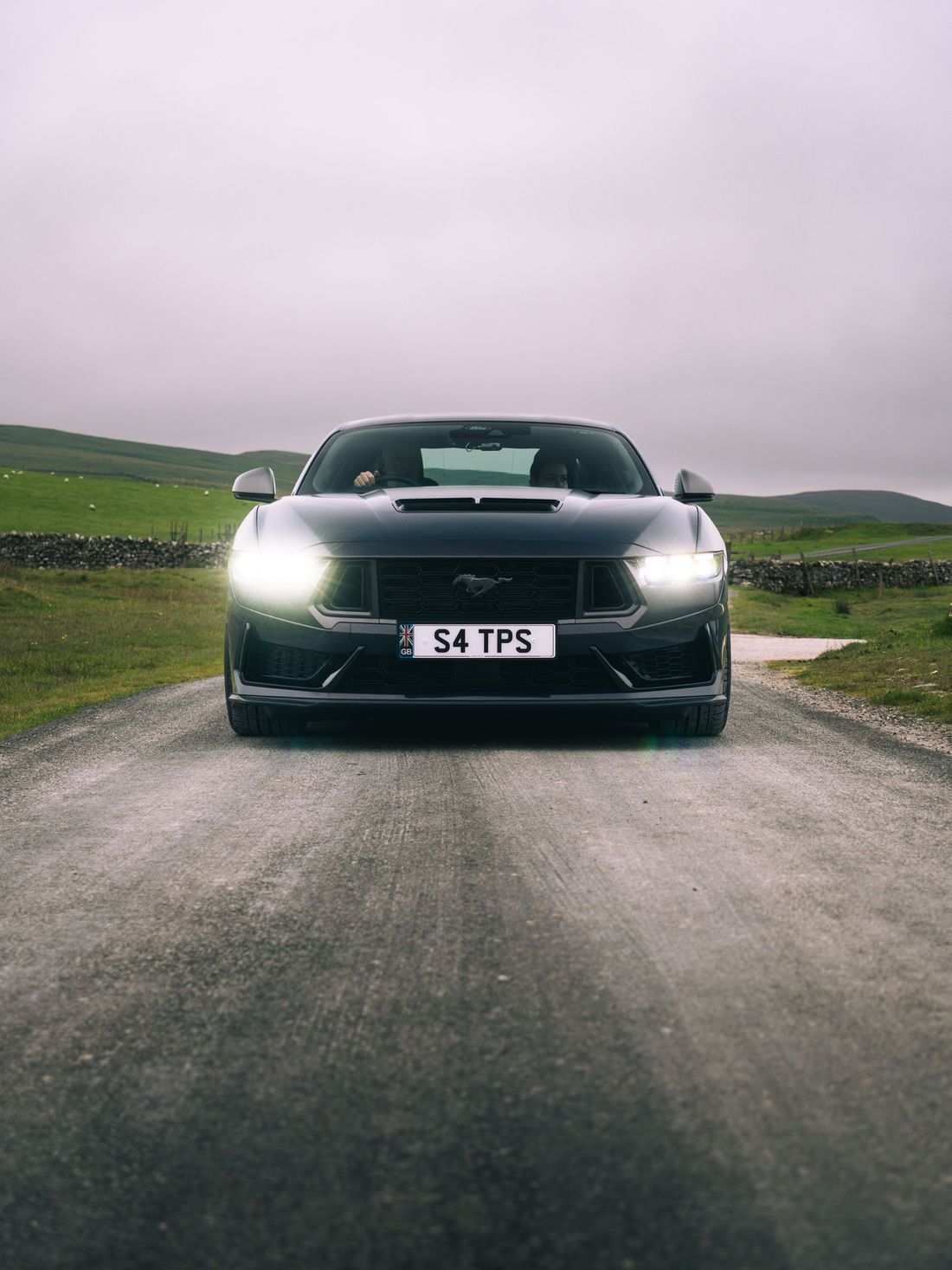 Dark Ford Mustang head-on